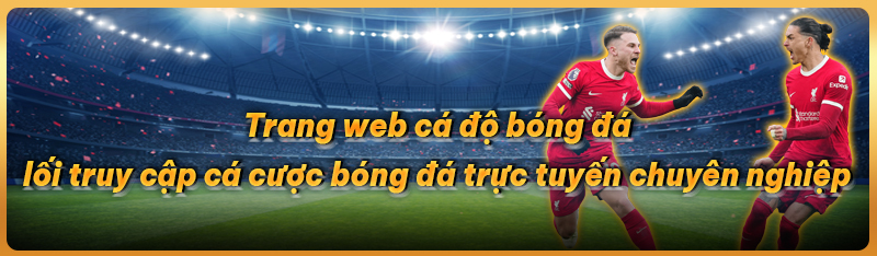 Trang web cá độ bóng đá lối truy cập cá cược bóng đá trực tuyến chuyên nghiệp